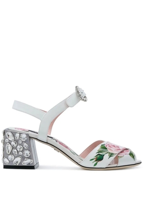 Dolce & Gabbana Keira sandals - White
