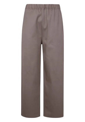 Sofie D'hoore Plock trousers - Grey