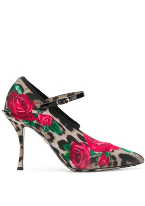 Dolce & Gabbana Mary Jane printed pumps - Brown