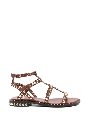 Ash Precious stud-embellished gladiator sandals - Brown