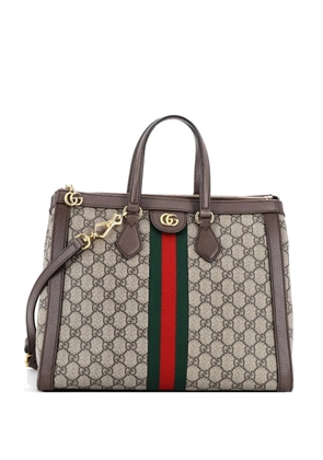 Gucci Pre-Owned Ophidia Top Handle GG Coated Canvas Medium tote bag - Brown