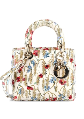 Christian Dior Pre-Owned My ABCDior Lady Dior Bag Embroidered Printed Leather satchel - Multicolour
