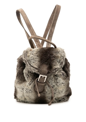 Fendi Pre-Owned 20th Century Mink Fur Tie Dye Print backpack - Grey