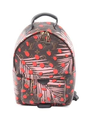 Louis Vuitton Pre-Owned 2016 Monogram Jungle Dots Palm Springs PM backpack - Brown