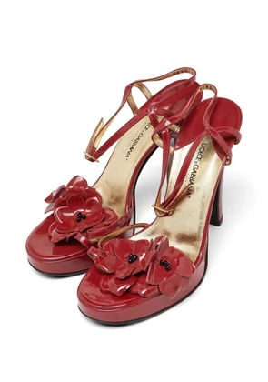 Dolce & Gabbana Pre-Owned flower strappy sandals - Red