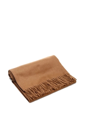 Al Duca D’Aosta 1902 fringed-edge cashmere scarf - Neutrals