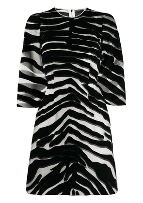 Dolce & Gabbana zebra print sheer dress - Black