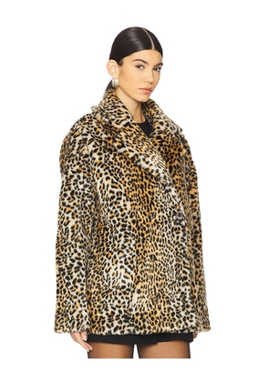 Bardot Vento Faux Fur Coat in Brown. Size 6. Also in 2.