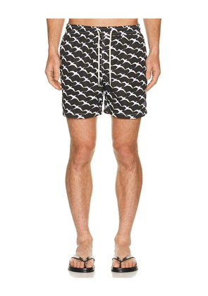 Arrels Barcelona Birds x Clara Arn?s Classic Swim Shorts in Black in Black. Size S. Also in M, L, XL/1X.