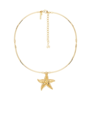 Lele Sadoughi Starfish Collar Necklace in Metallic Gold.