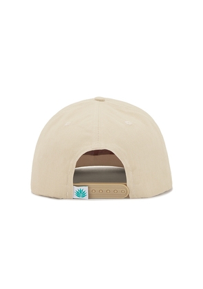 Sendero Provisions Co. Wild Horses Hat in Cream.