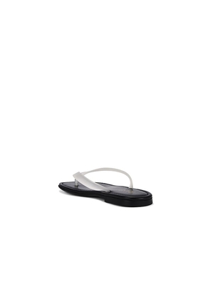 RAYE Orion Sandal in Black. Size 7. Also in 6, 6.5, 8, 8.5, 9, 9.5, 10.