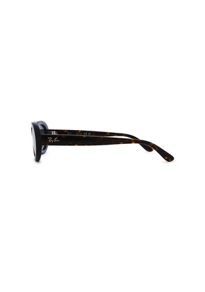 Ray-Ban Oval Sunglasses in Brown.