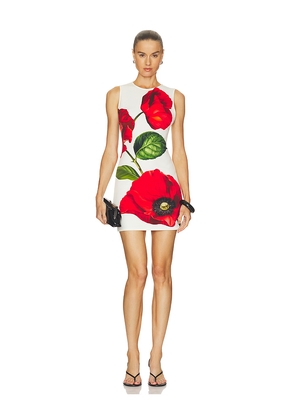 Alice + Olivia Wynell Fitted Mini Dress in White. Size 0. Also in 2, 4, 6, 8, 10, 12.