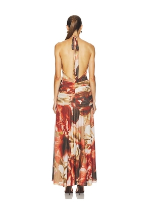Bardot Sariba Halter Mesh Midi Dress in Brown. Size XS. Also in S, M, L, XL.