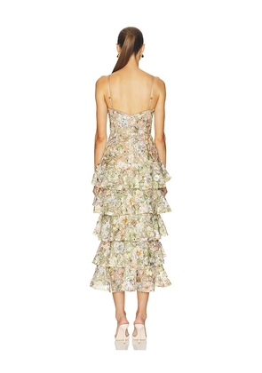 Nadine Merabi Saffron Floral Dress in Nude. Size 2/XS. Also in 12/XL.