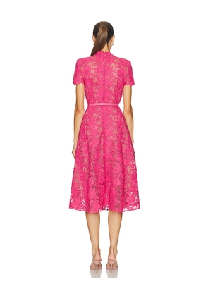 Nadine Merabi Lace Midi Dress in Pink. Size 2/XS. Also in 6/SM.