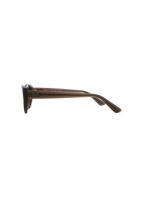 Ray-Ban Oval Sunglasses in Brown.