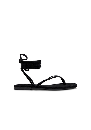 Seychelles Wander The World Sandal in Black. Size 6. Also in 6.5, 7, 7.5, 8, 8.5, 9, 9.5, 10.