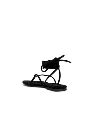 Seychelles Wander The World Sandal in Black. Size 6. Also in 7.5, 8.5.