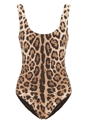 Dolce & Gabbana leopard-print scoop-back swimsuit - Brown
