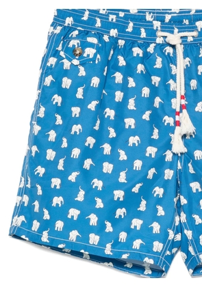 MC2 Saint Barth Lighting 70 elephant-print swim shorts - Blue