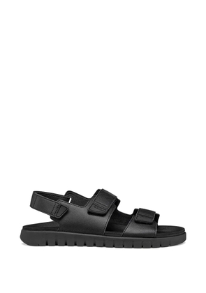 Geox U FLEXTRIDE S touch-strap sandals - Black