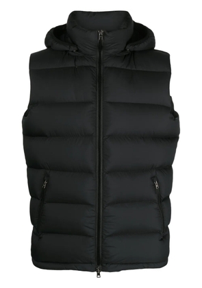Herno hooded padded gilet - Black