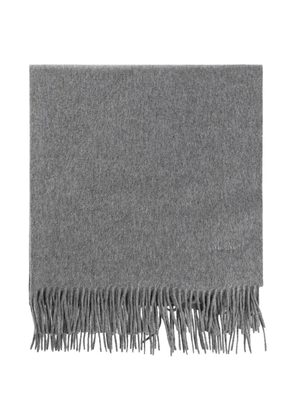 Max Mara Baci fringed logo-embroidered scarf - Grey