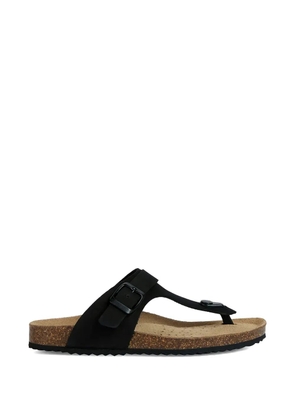 Geox buckle-fastening flip-flops - Black