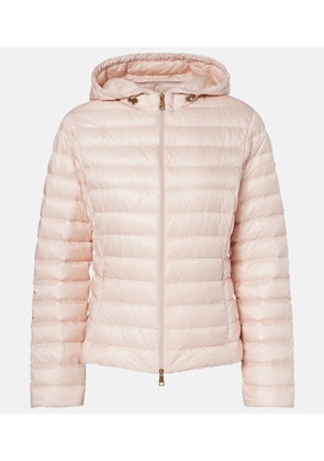 Moncler Igelhood down jacket