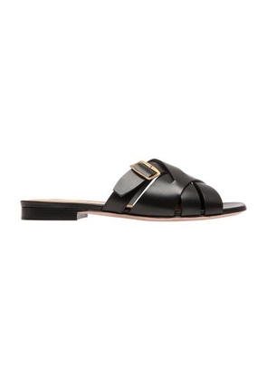 Essence mules