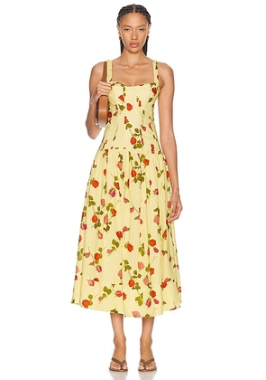 NICHOLAS Makenna Drop Waist Corset Dress in Fallen Roses - Yellow. Size 4 (also in 0, 2, 6, 8).