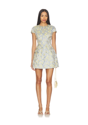 Curaae by Elliatt Annie Mini Dress in Light Grey,Yellow. Size S. Also in XS, M, L.