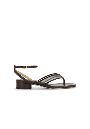 Dear Frances Fina Thong Sandal in Brown. Size 36. Also in 37, 38, 39, 40.