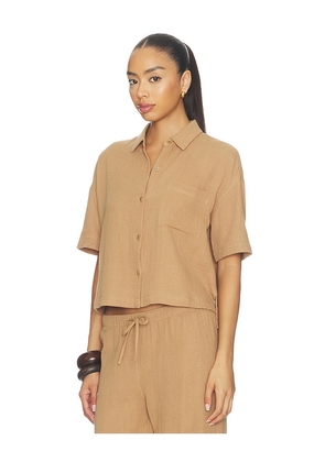 Barefoot Dreams Button Up Shirt in Tan. Size S. Also in XS, M, L, XL.