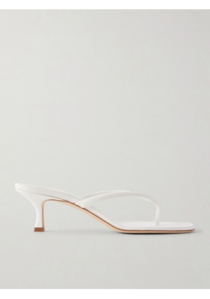 Manolo Blahnik - Paterno 50 Leather Thong Sandals - White - IT35,IT36,IT36.5,IT37,IT37.5,IT38,IT38.5,IT39,IT39.5,IT40,IT40.5,IT41,IT41.5,IT42