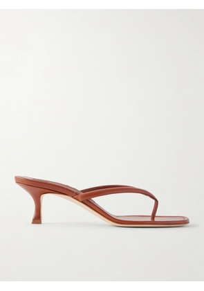 Manolo Blahnik - Paterno 50 Leather Thong Sandals - Brown - IT35,IT36,IT36.5,IT37,IT37.5,IT38,IT38.5,IT39,IT39.5,IT40,IT40.5,IT41,IT41.5,IT42,IT43