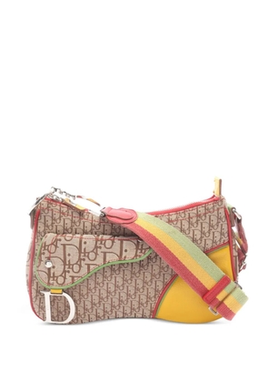 Christian Dior Pre-Owned 2000s Rasta Trotter saddle shoulder bag - Neutrals