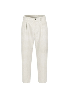 Transit pinstripe pleated trousers - Neutrals