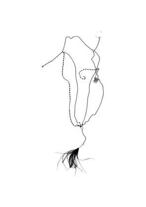 Ann Demeulemeester Afsar feather-pendant necklace - Silver
