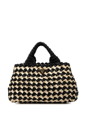 Prada Pre-Owned 2013-2026 Small Woven Raffia Canapa Logo satchel - Black