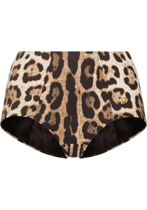 Dolce & Gabbana leopard-print bikini bottoms - Brown