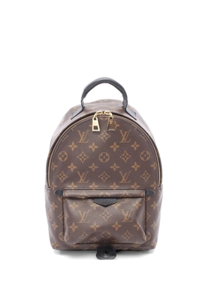 Louis Vuitton Pre-Owned 2020 Monogram Palm Springs backpack - Brown