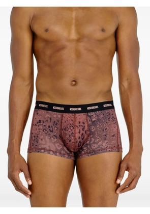 Diesel logo-waistband boxer briefs (pack of three) - Purple