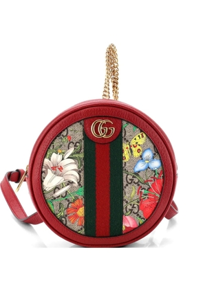 Gucci Pre-Owned Ophidia Round Flora GG Coated Canvas Mini backpack - Multicolour