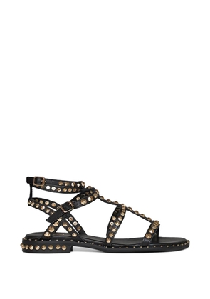 Ash stud-embellished gladiator sandals - Black