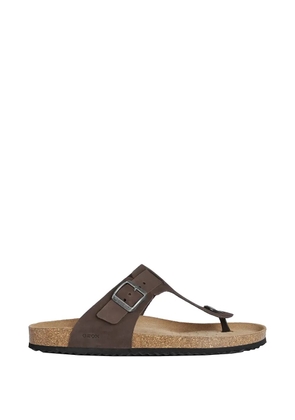 Geox buckle-fastening thong sandals - Brown
