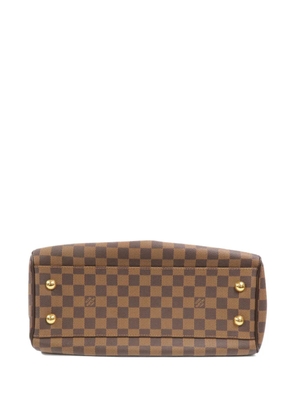 Louis Vuitton Pre-Owned Trevi Damier canvas shoulder bag - Brown
