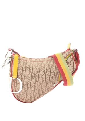 Christian Dior Pre-Owned 20th Century Diorissimo Canvas Rasta Saddle crossbody bag - Neutrals